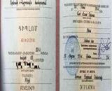 Buy Degree From the Russian-Armenian University