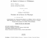 buydegree from the Université Marien Ngouabi