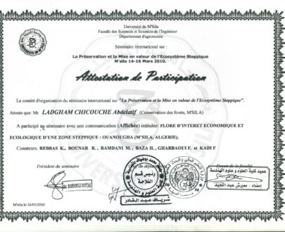buydegree from the Université Mohamed Boudiaf de M'sila