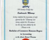 buydegree from the University of Science and Technology