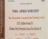 Buy college degree from The Ain Shams University