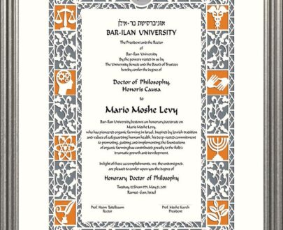 Buy college degree from the Bar-Ilan University