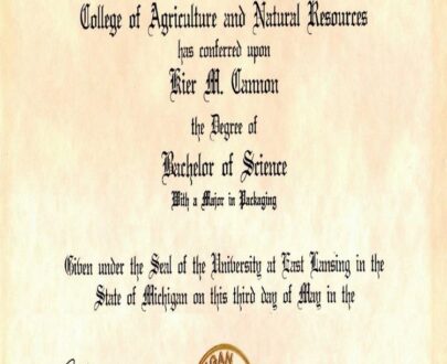 Buy college degree from The Michigan State University