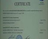 Buy college degree from the Moscow State Institute of International Relations