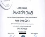 Buy college degree from the Süleyman Demirel Üniversitesi