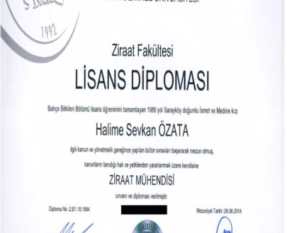 Buy college degree from the Süleyman Demirel Üniversitesi