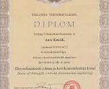 Buy college degree from The Tallinna Tehnikaülikool