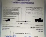 Buy college degree from The Université Sidi Mohamed Ben Abdellah