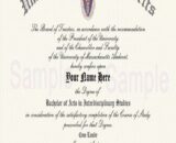 Buy college degree from The University of Massachusetts Amherst