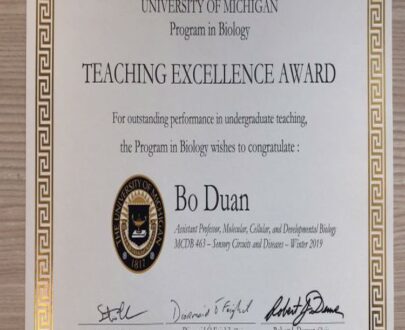 Buy college degree from The University of Michigan