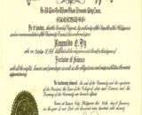 Buy college degree from the University of the Philippines System