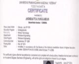 Buy college degree from The Universitas Pembangunan Indonesia